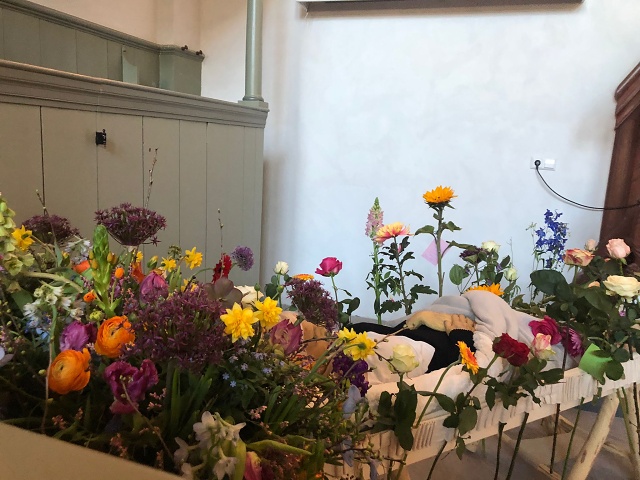 6ce70be0-121d-4264-9004-eaf6019f26c4